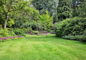 Optimiser l'expérience du jardin à Beaumetz-les-Aire
